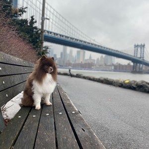 Meet your Posher, Sirleonidas